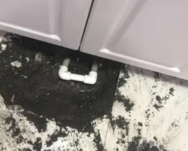 勐海查漏水哪家好